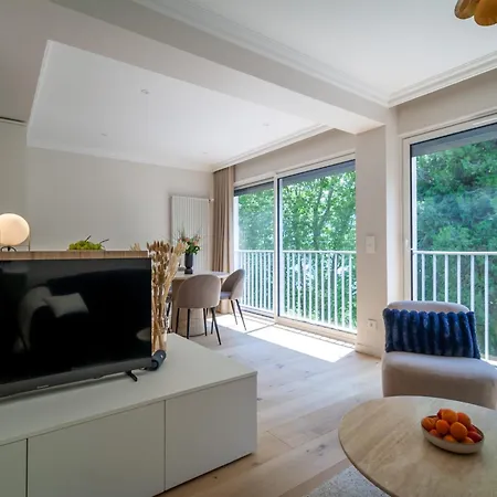 Daire & Lounge Annecy
